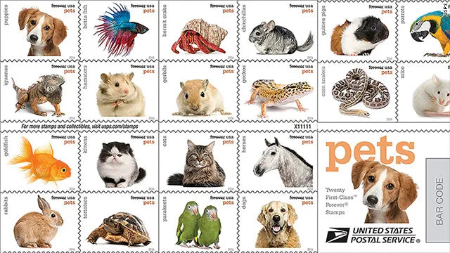 2016 Animals Forever First Class Postage Stamps