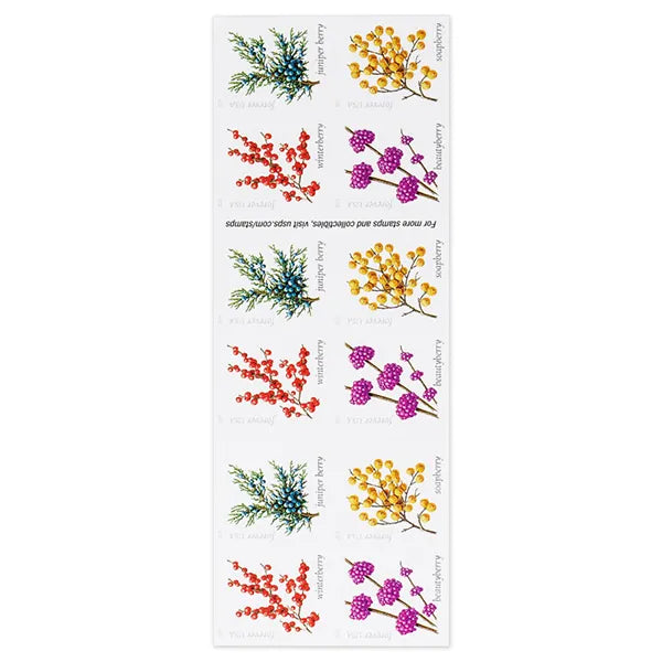 2019 Winter Berries Forever First Class Postage Stamps