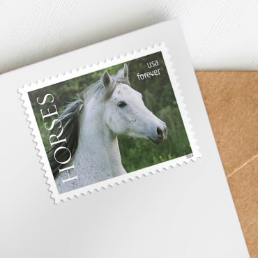 2024 Horses Forever First Class Postage Stamps