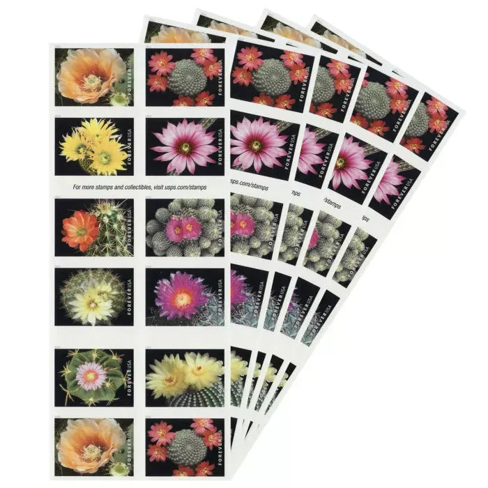 2019 Cactus Flowers Forever First Class Postage Stamps