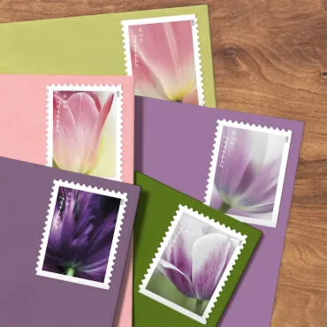 2023 Tulips Blossom Forever First Class Postage Stamps