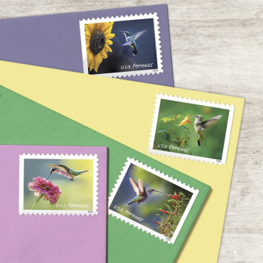 2024 Garden Delights  Forever First Class Postage Stamps