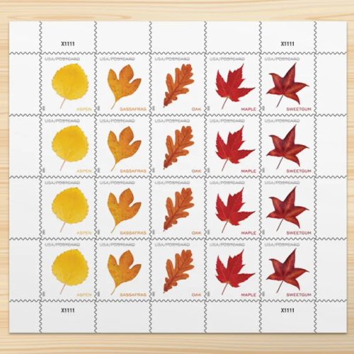 2025 Vibrant Leavea Postcard Forever First Class Postage Stamps (For Postcard Only)