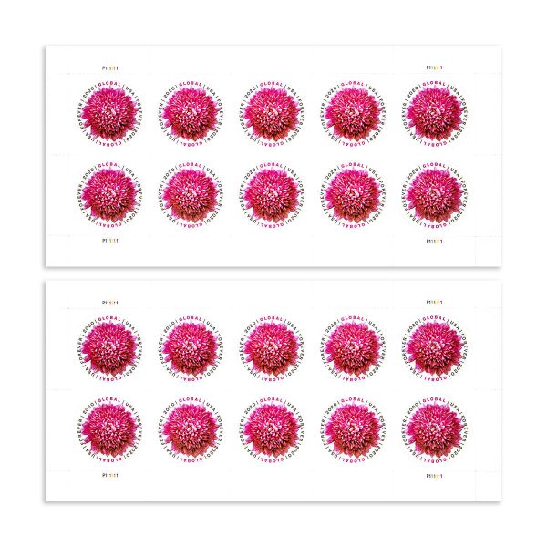 2020 Global Chrysanthemum International  First Class Forever US Postage Stamps