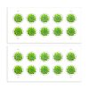 2017 Global Green Succulent  Forever First Class U.S Postage Stamps